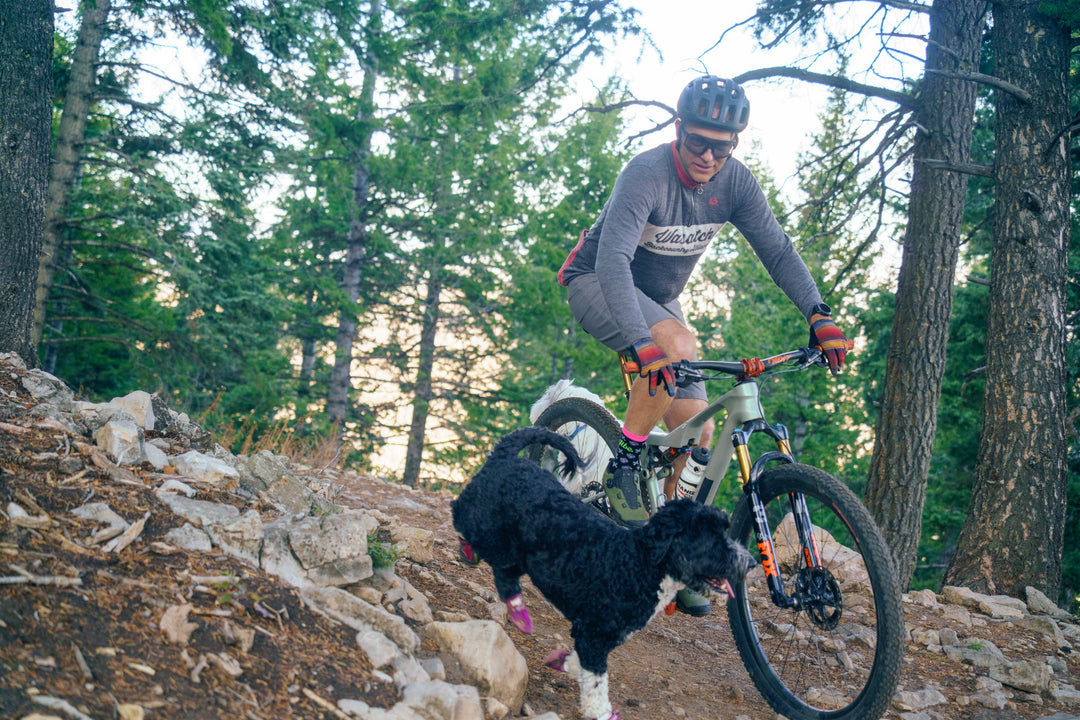Person riding a mountain bike with a dog on a rocky trail in a forest.