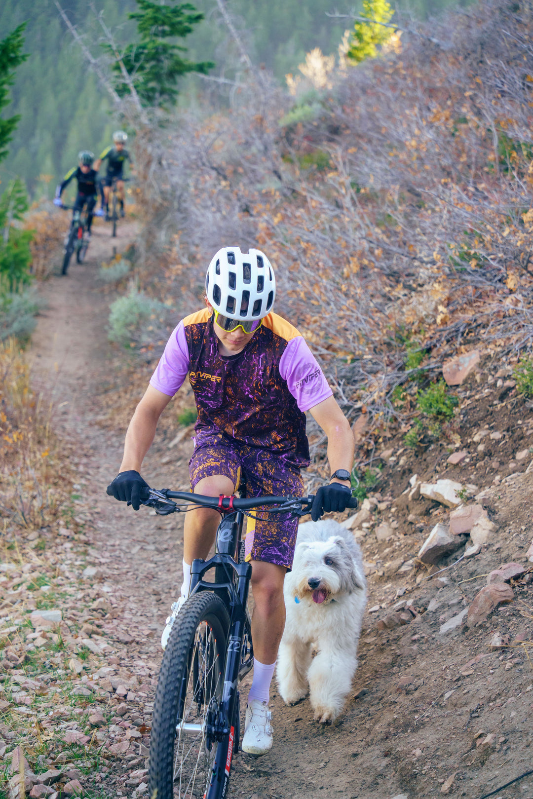 Person mountain biking on a trail with an Old English Sheep dog following, surrounded by nature.