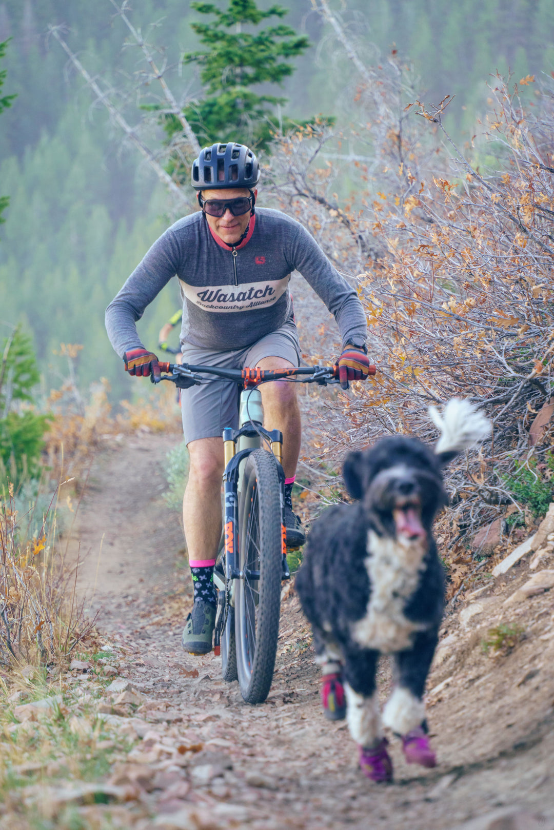 Man riding a Jibe bike with a dog running alongside on a trail in a forested area.