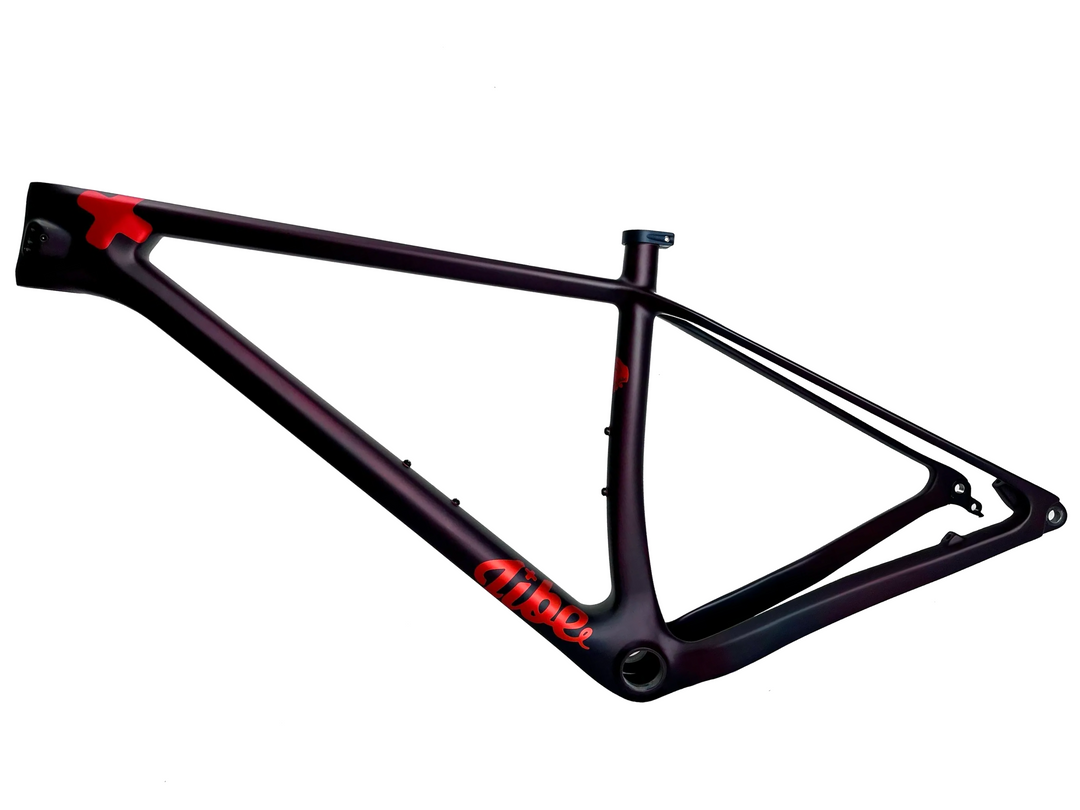 XCHT Frame